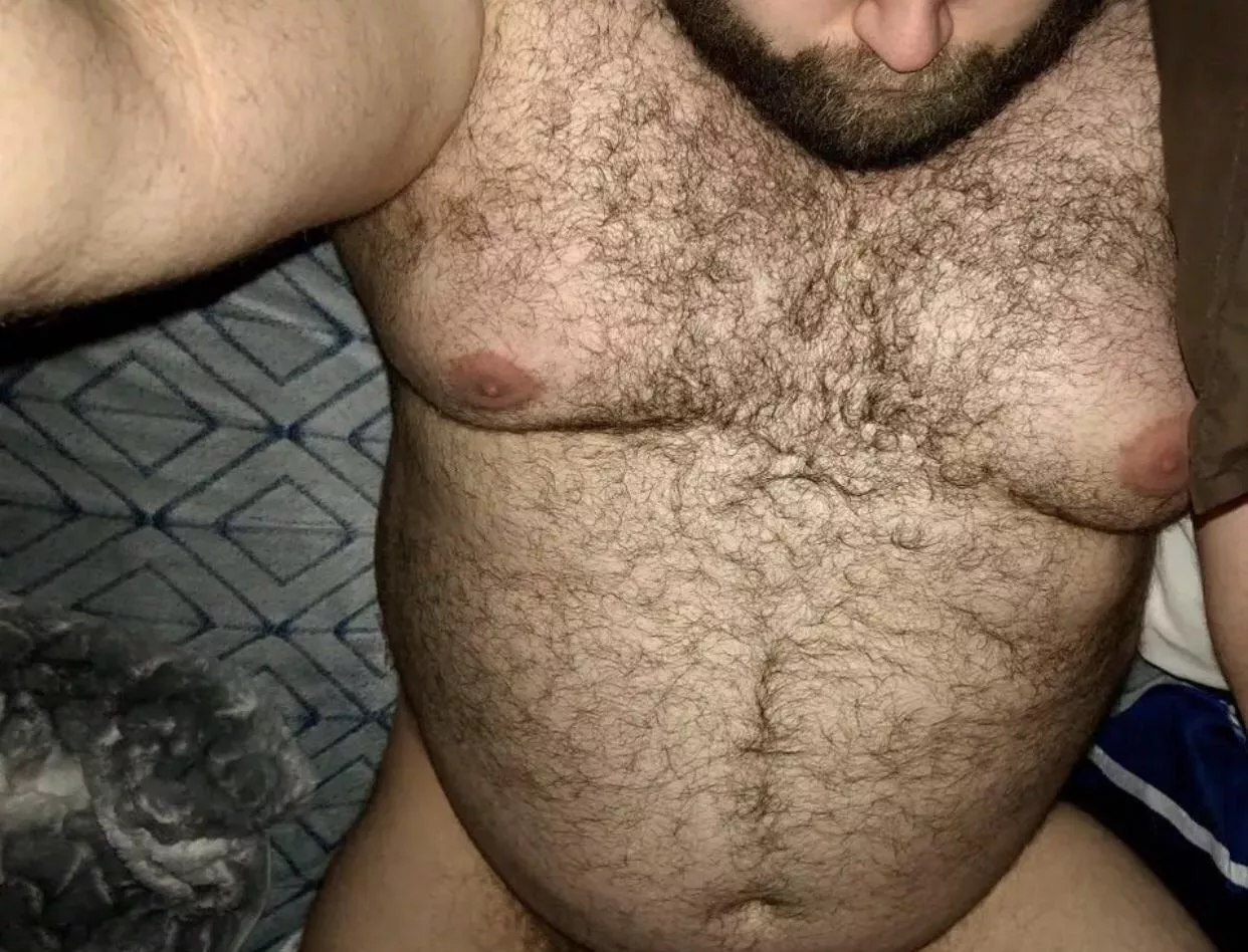 31, do I fit in here? posted by Chaotic_bearX