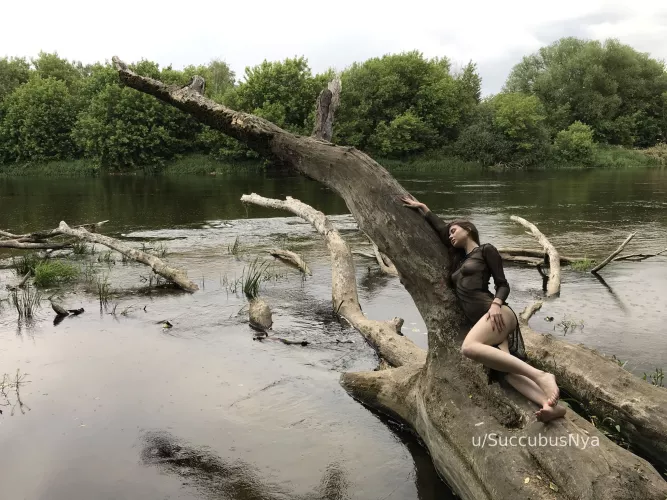 Beneath the Canopy by SuccubusNya