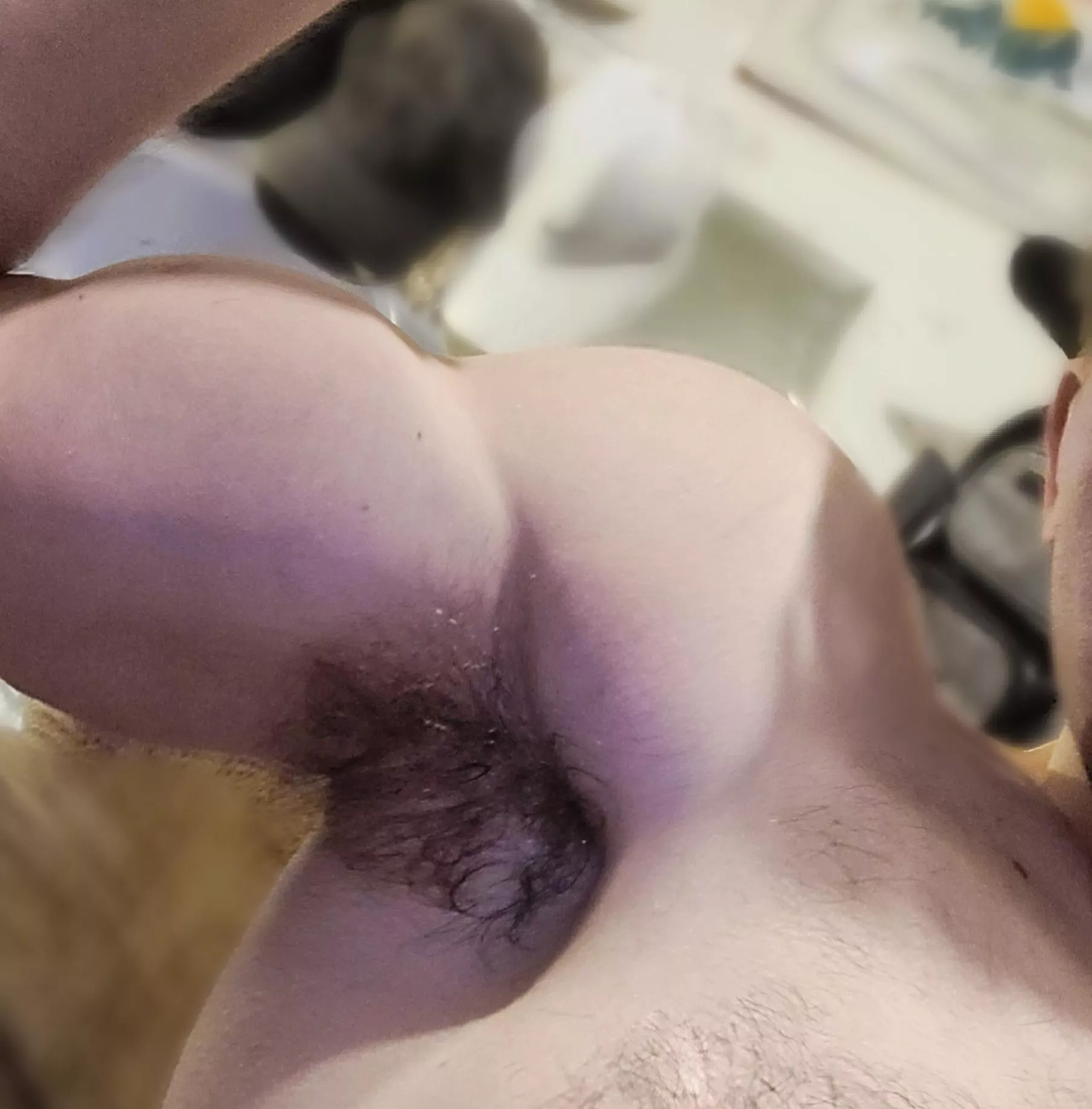 Brooo if only you could smell my post workout pit right now 🤤 my pit musk makes my asshole tingle 🥵 posted by Simple-Ad-7962