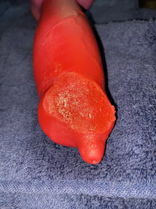 Large Rex (BD) melted… looking for advice! by Aromatic_Custard_339