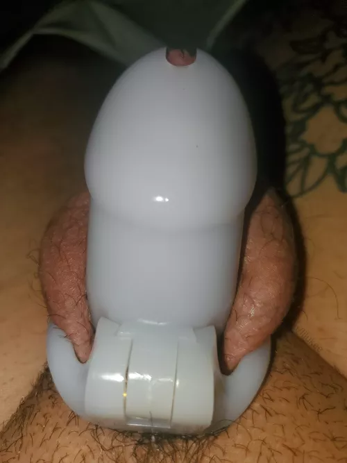 Make me leak out the cage by lilukee