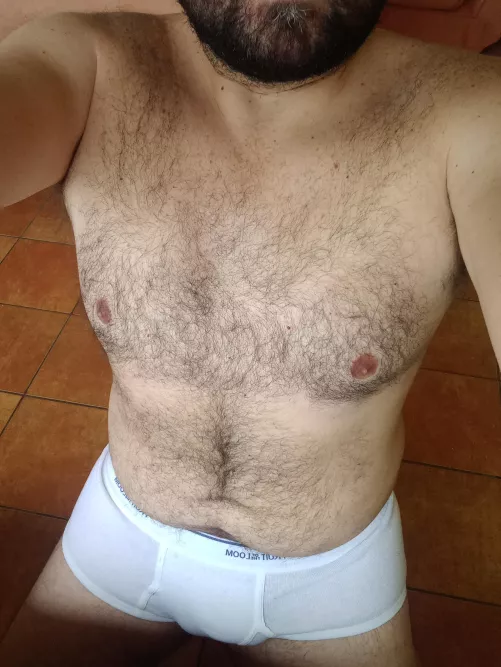 Teletravail im briefs [37] by LatinJavi