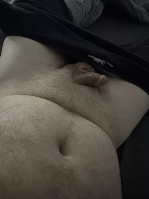 The little guy says happy hump day! by PuzzleheadedMark1966