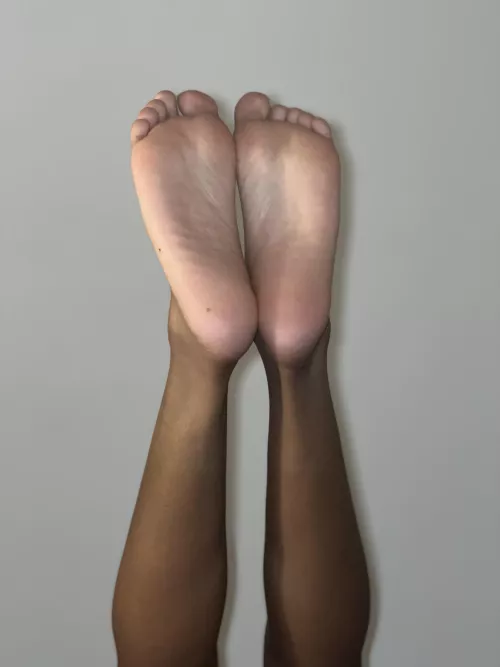 They need some attention today by ShylinMilan