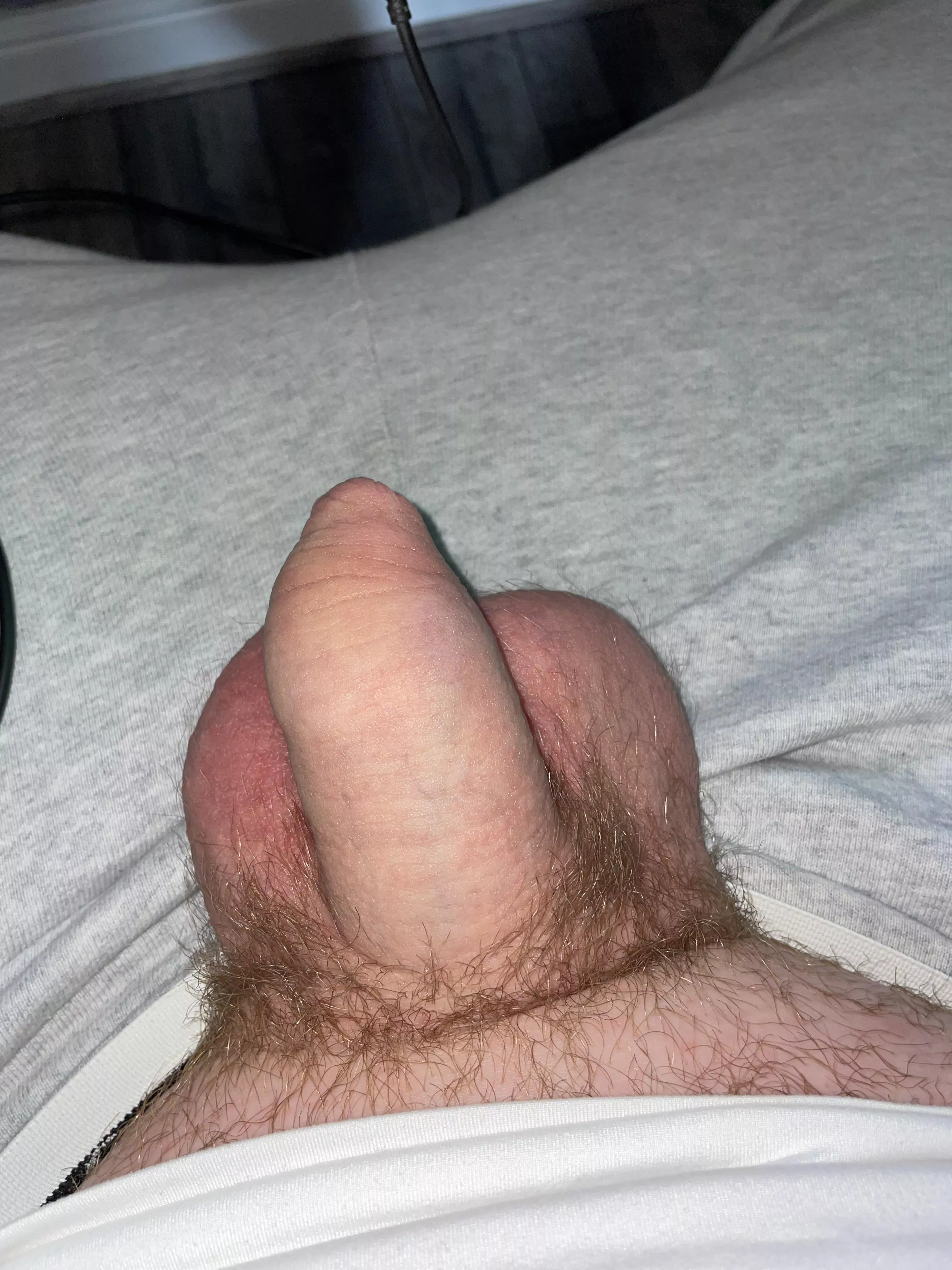 What do you think of the little guy? posted by ModernVikingGiant