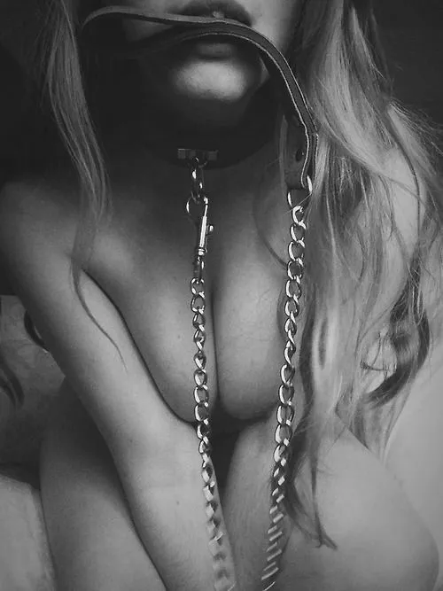 Yes, Master..... posted by Strfox-777