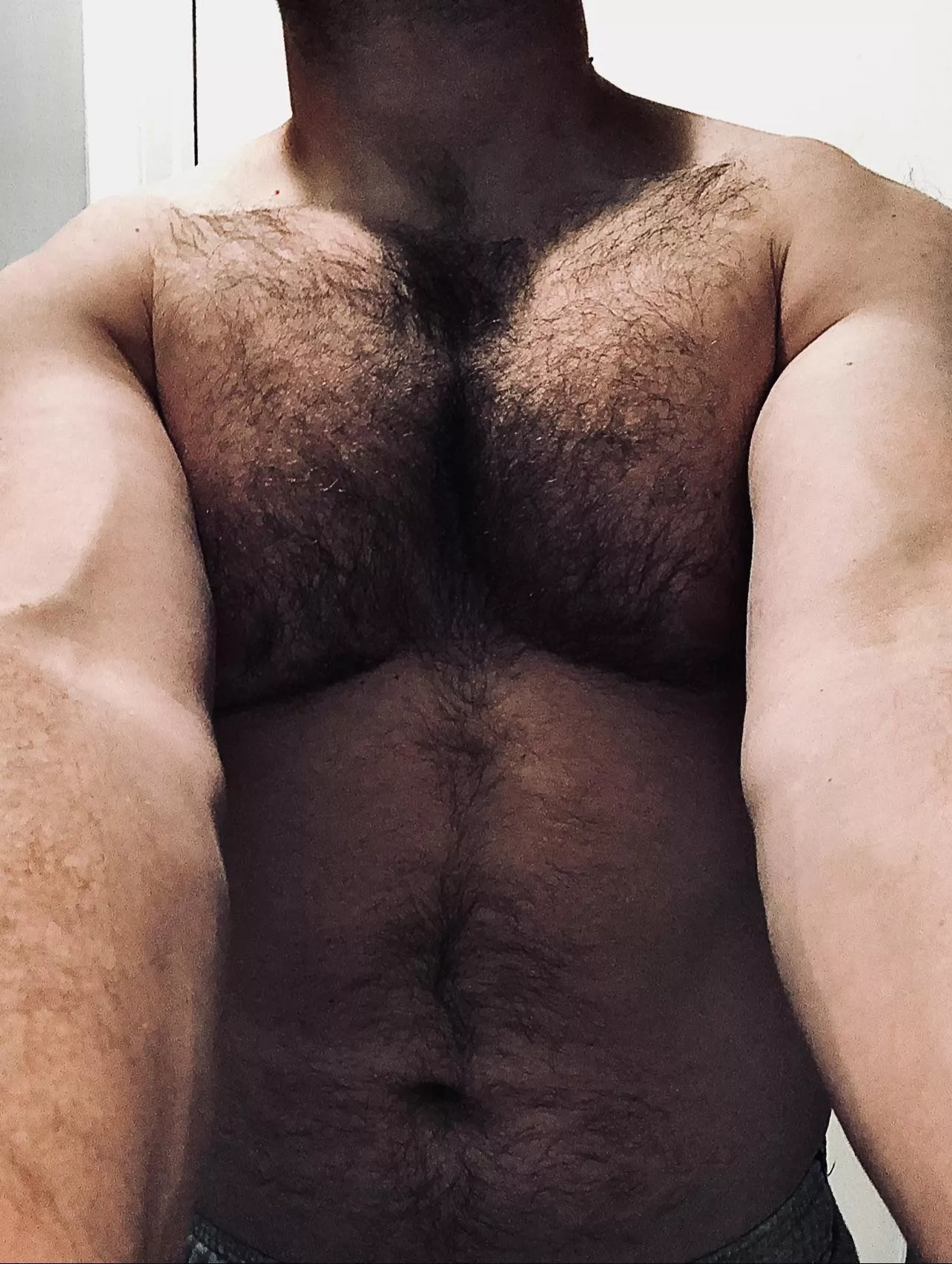 Everyone needs a furry chested bro posted by chepuey
