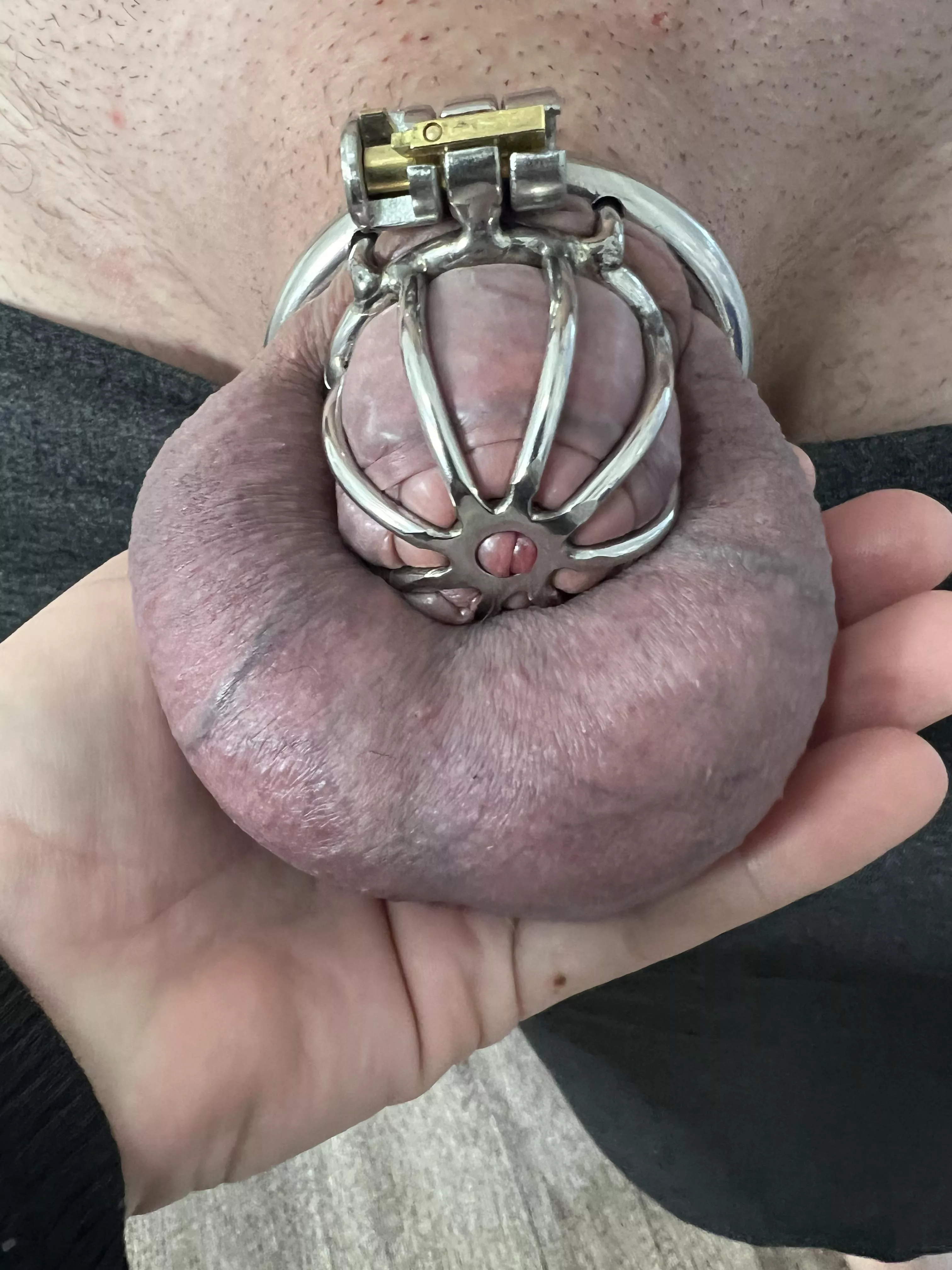 I love locking him in his tiny cage and teasing him 😈 posted by ffuunn69