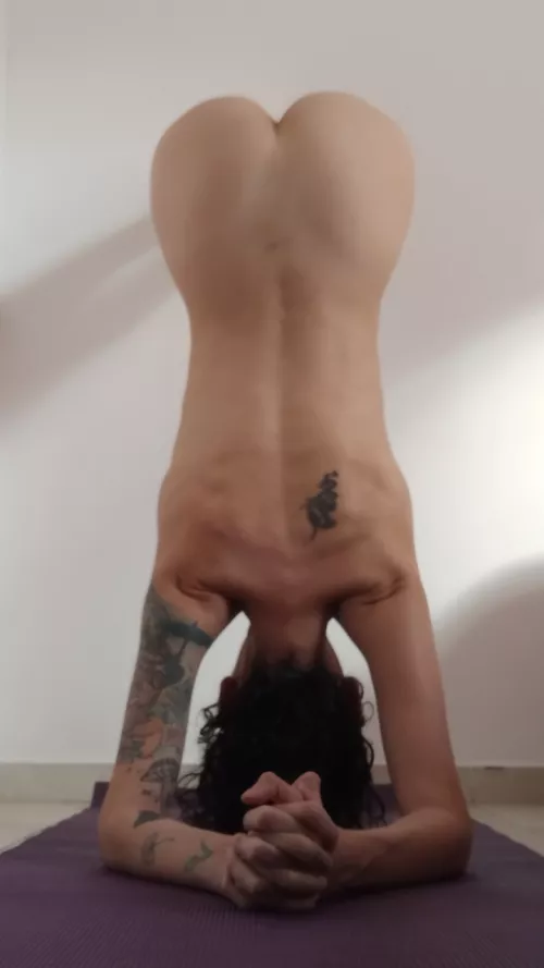 I love this Asana, don't you think it's too sexy? by judyisapunk8