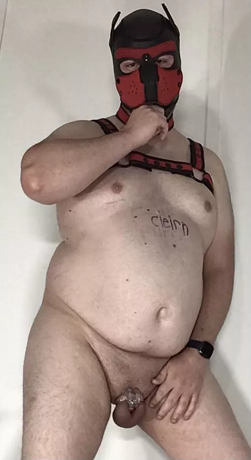 Keyholder required I share a puppy pic here by cieirn