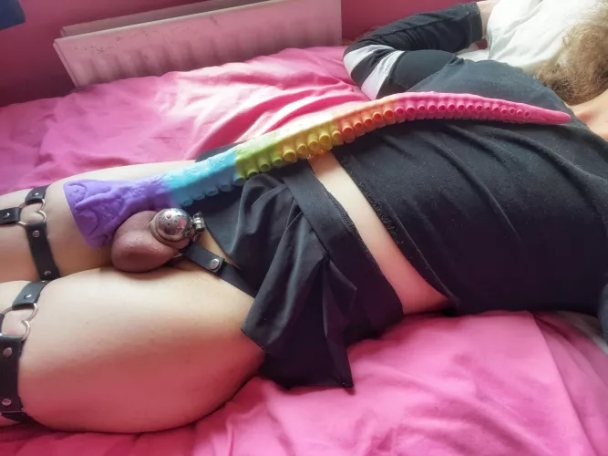 My 1 inch cage can’t possibly compete with my new 22 INCH dildo… by Horny_Lisa23