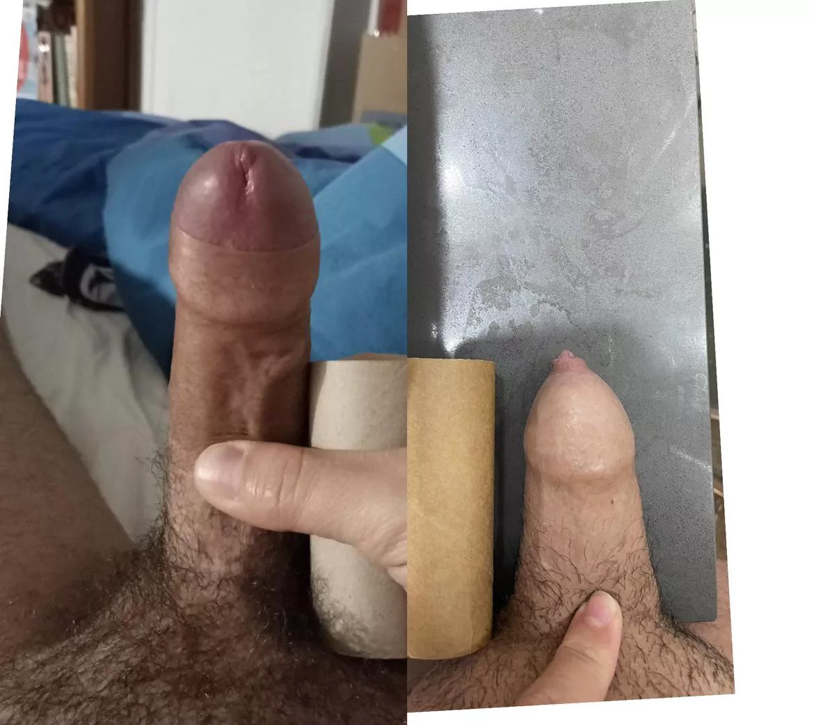 My asian dick lost to u/alremad’s cock! First compare of the day and im losing. posted by asiangooner1