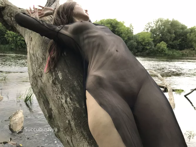 Nature's Peace by SuccubusNya