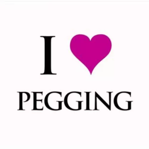 ❤️Pegging… I think every man needs to Fucked by his Wife…. (And Self Assturbation) by Bldegl
