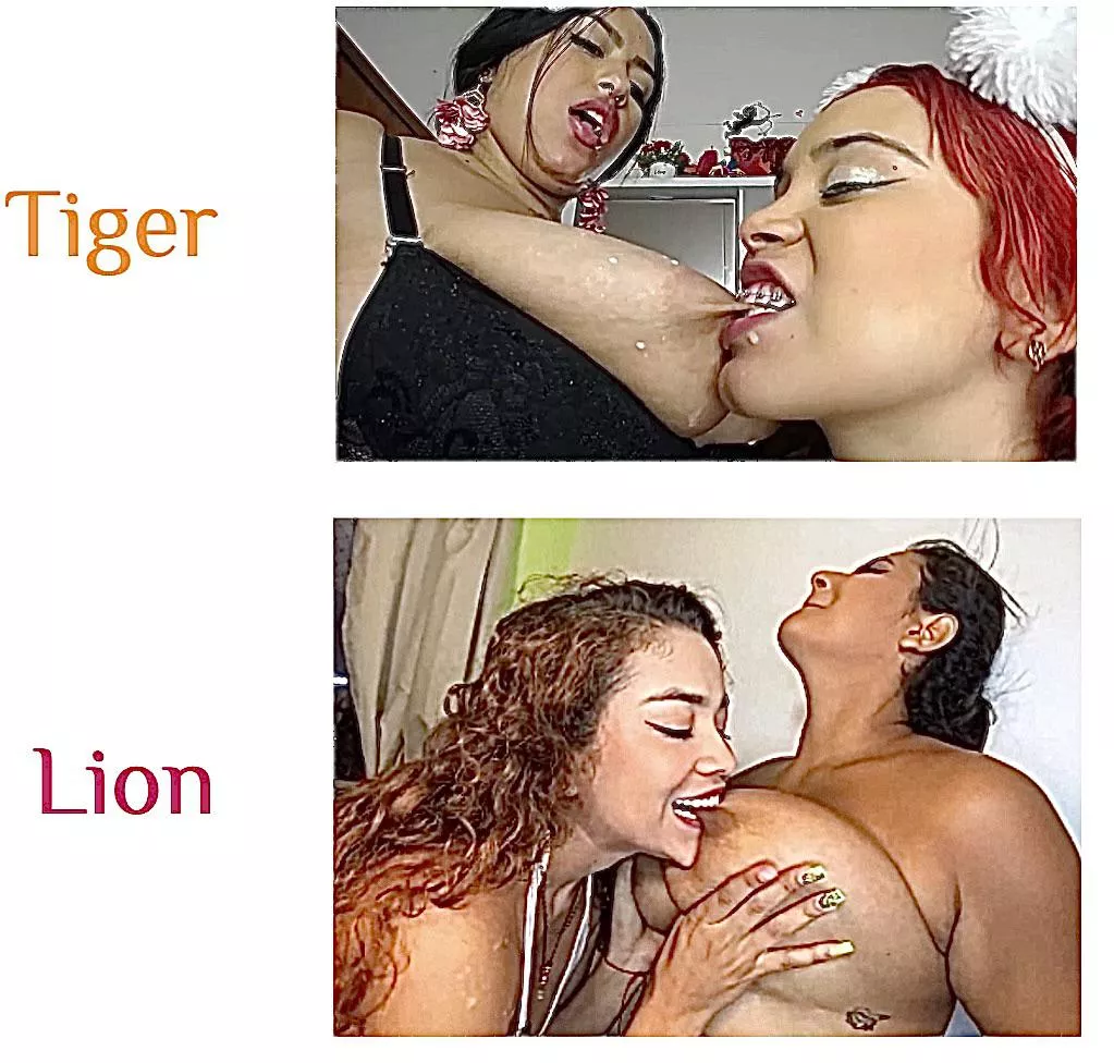 Who got a stronger bite force?Source on comment posted by Anxious_Apple9838