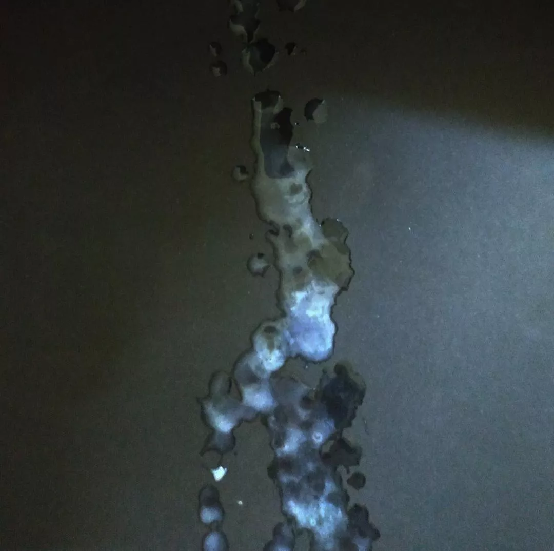 Who want see the video of it posted by maomano