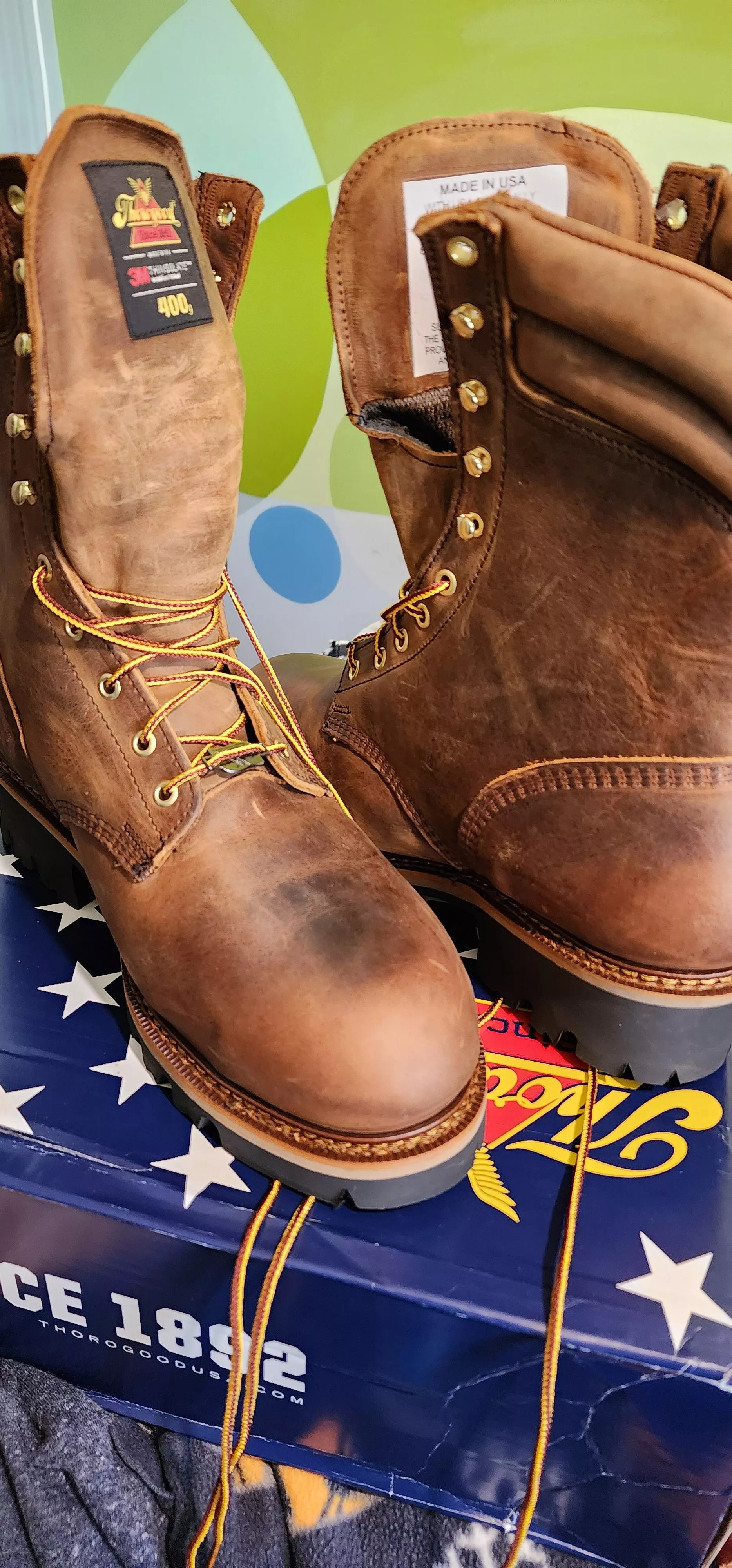 1 week in posted by gh05tryder