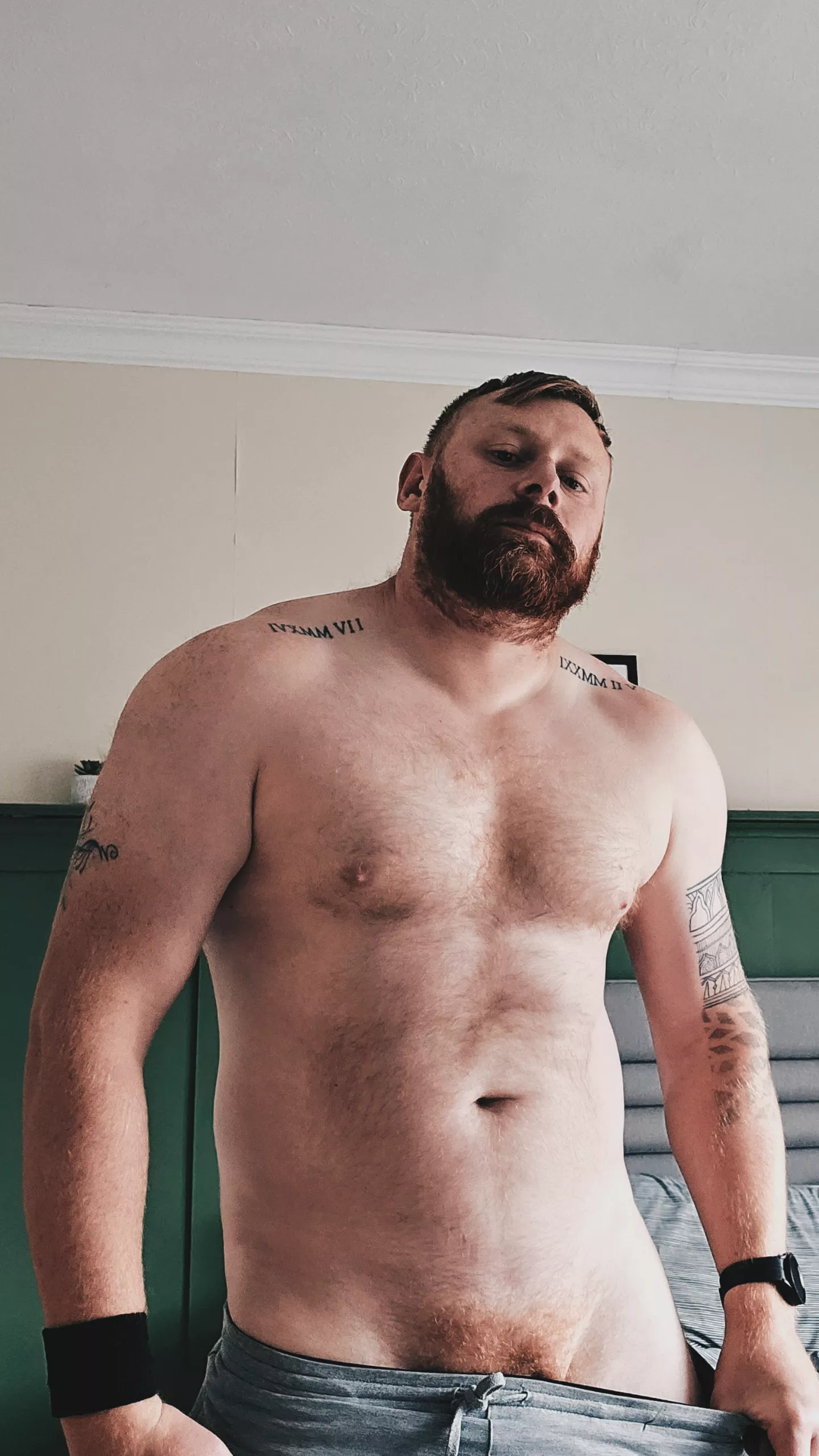 [36] ginger bears are hot too right? posted by sfp_gho57