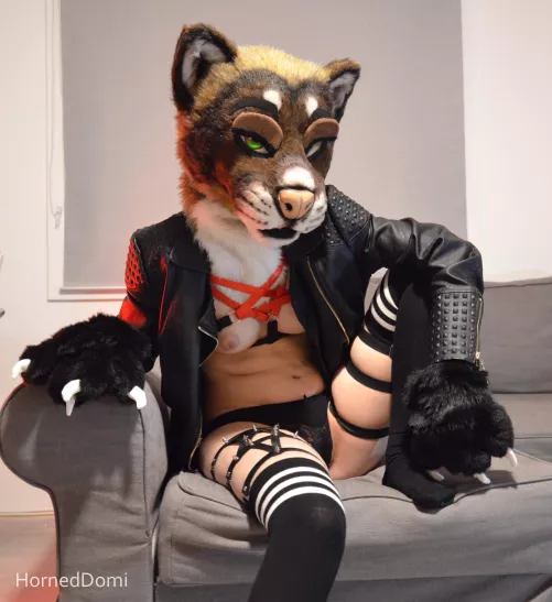 Bringing back the leather jacket look by priestkink