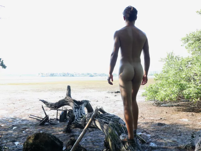 Florida is too l hot for clothes by Floridaman6_9