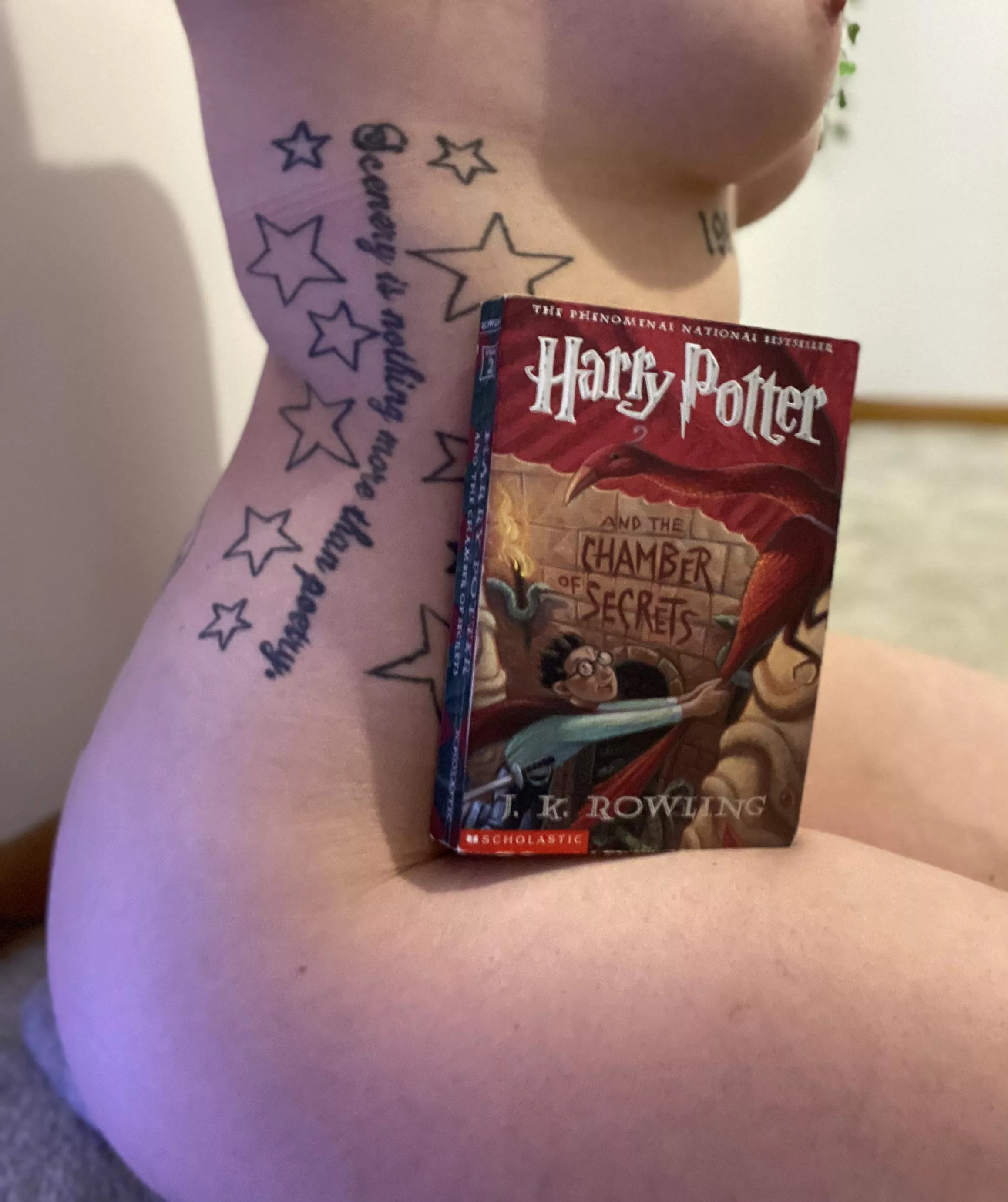 I have a chamber of secrets to show you posted by _Sabrina_Baby