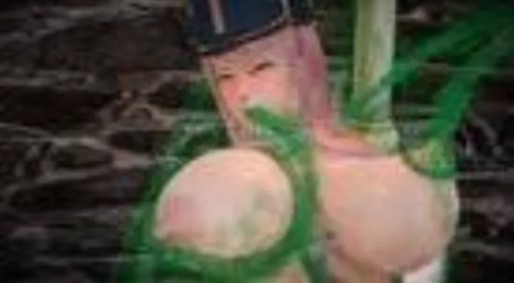 I have been informed that Honey Select is a character-designing game, so can someone please recreate this scene known as 