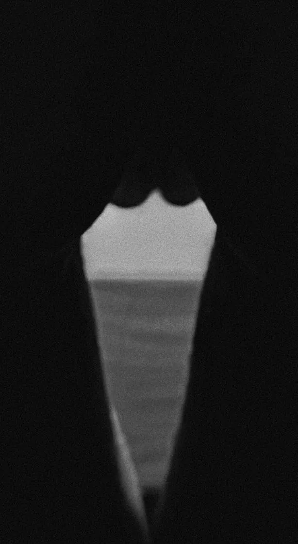 Lights, shadow, action! posted by northernbling