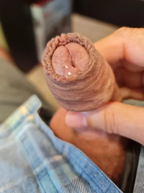 Old french dude...(62) by Lazy_Reaction_8875