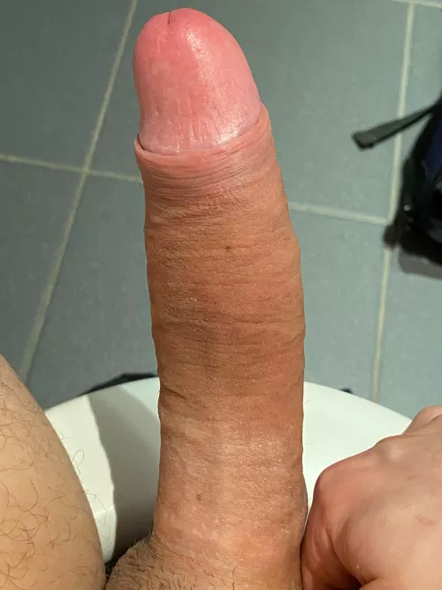 Upvote me if I‘m bigger! by Embarrassed-Cress-67