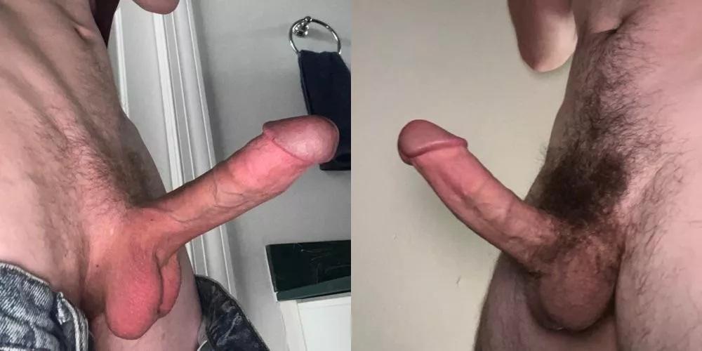 Which cock would you rather , left or right? posted by Powerful_Project195