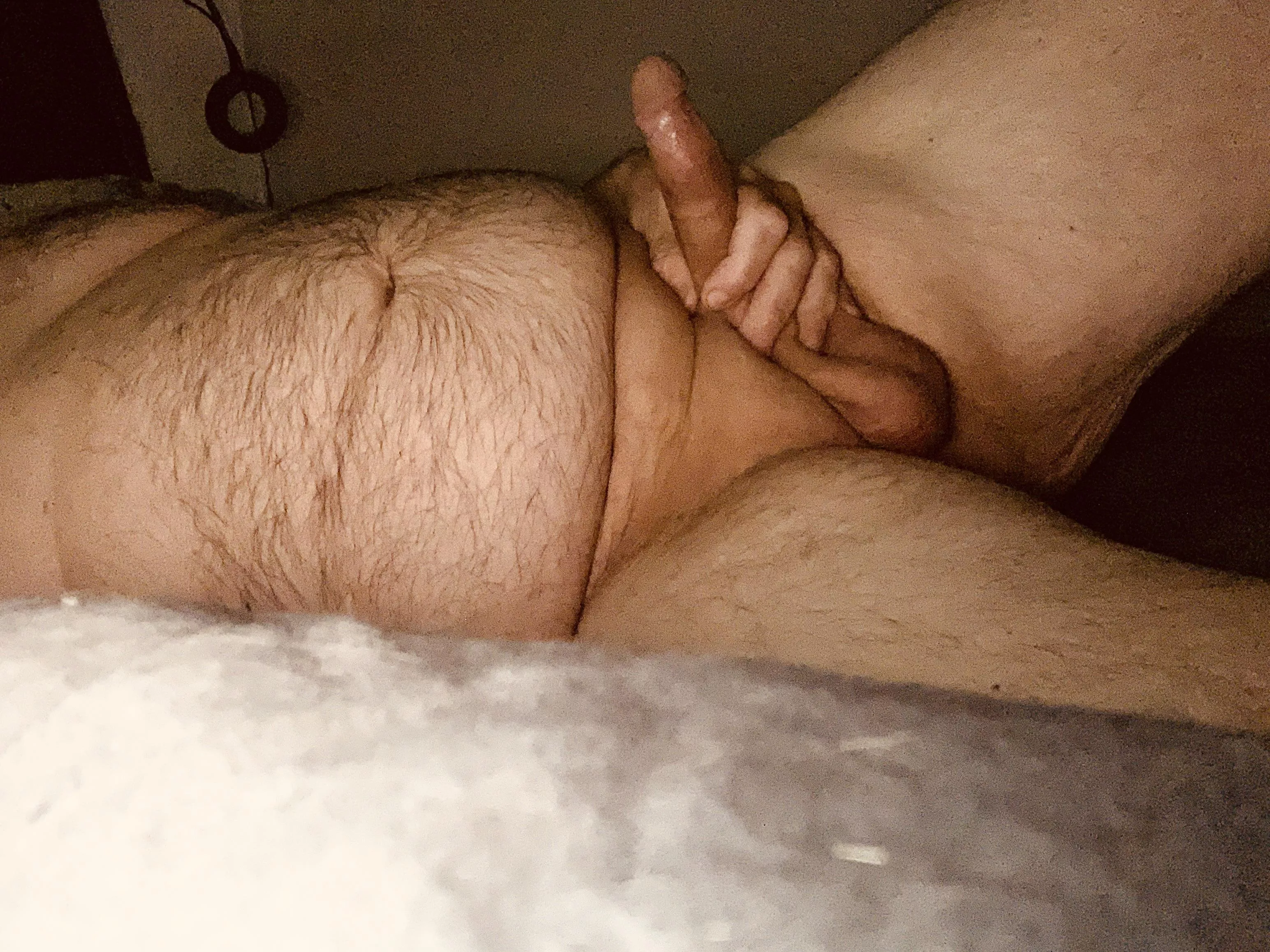 Who loves a big belly to cuddle up to? posted by kittycakes2023