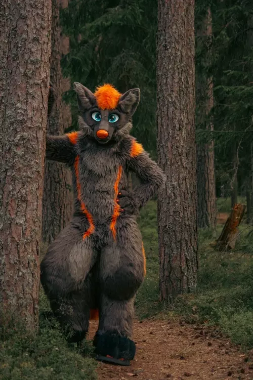 Wild Wolf [Photo by: Kawi] by FullForceUral