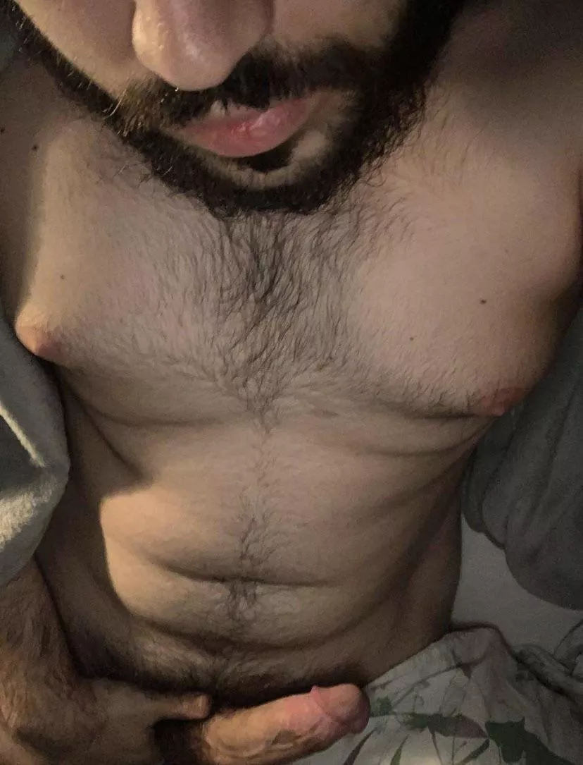 21 m hairy musky bwc guy looking for anything open and no limits. Face pls. Add ajax21152 posted by Hairyjo2002