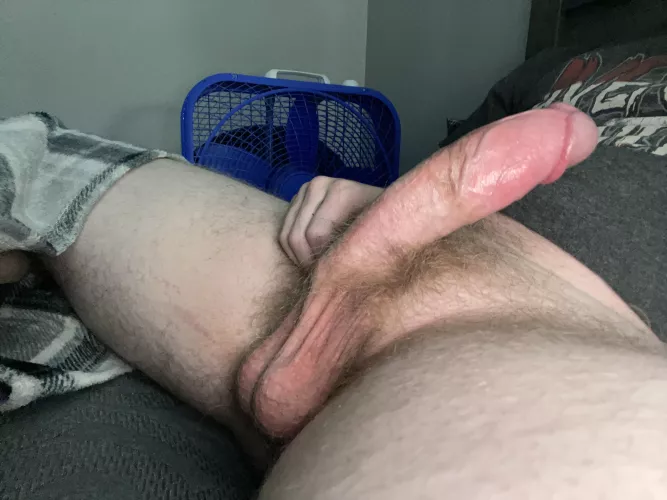 Anyone wanna protein snack? by Upstairs-Big7714