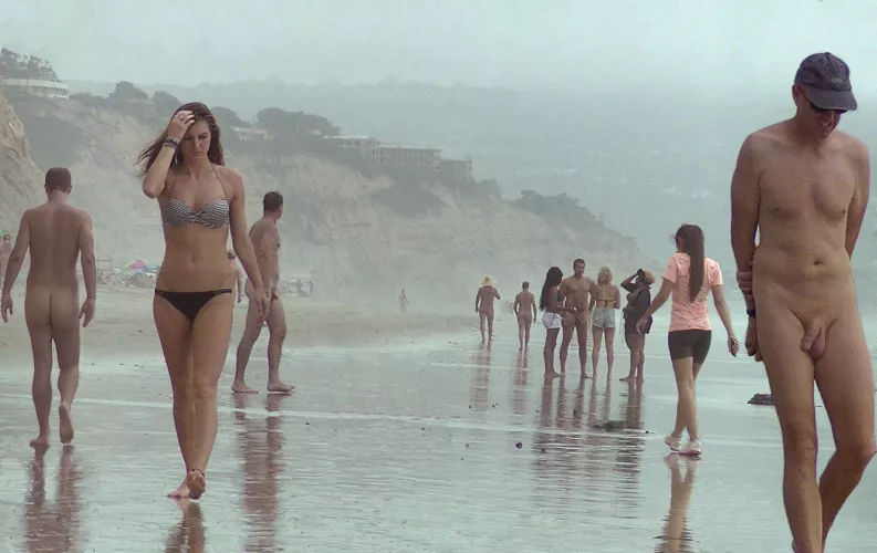 cfnm beach by Fun_Organization2793