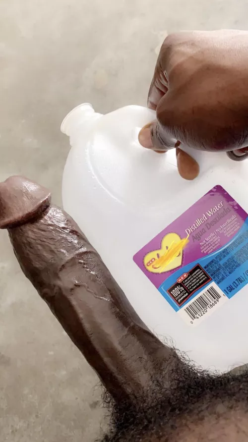 Chocolate 🍫 by Similar-Elderberry30