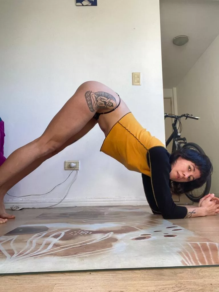 Half Pincha in the morning posted by lanaxsweet3