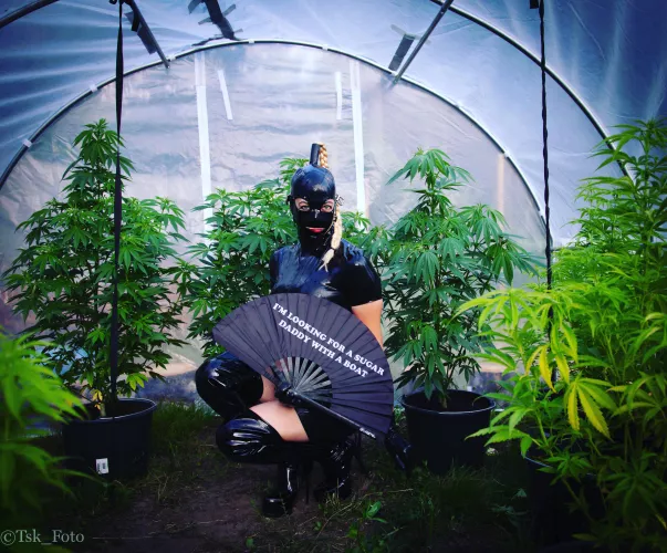 Hallo from the greenhouse😘 by DKdaddy1971