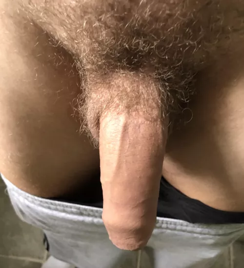 Hmu to compare cocks by Sufficient-Hotel-153