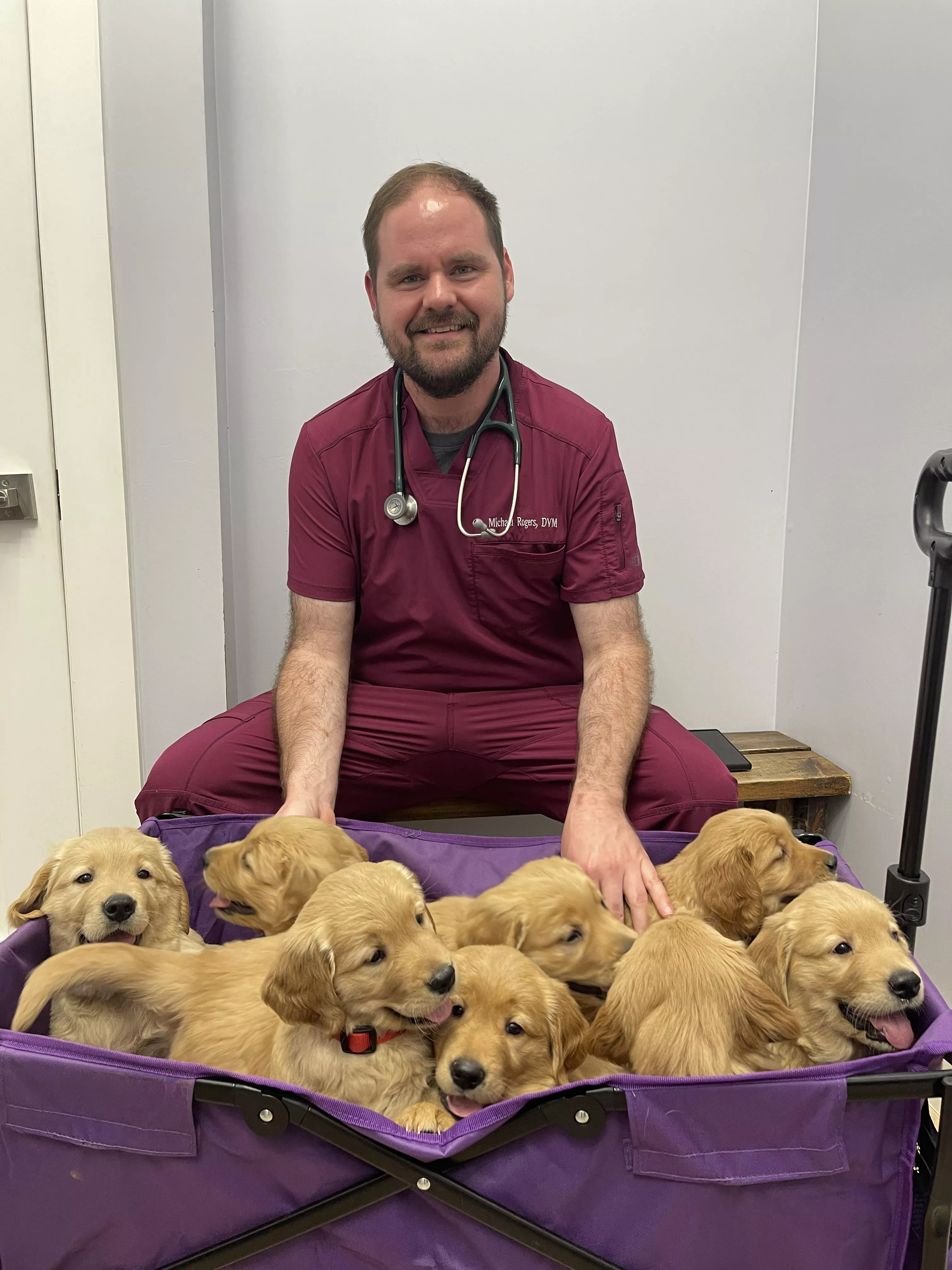 I love my job! posted by TravelinVet