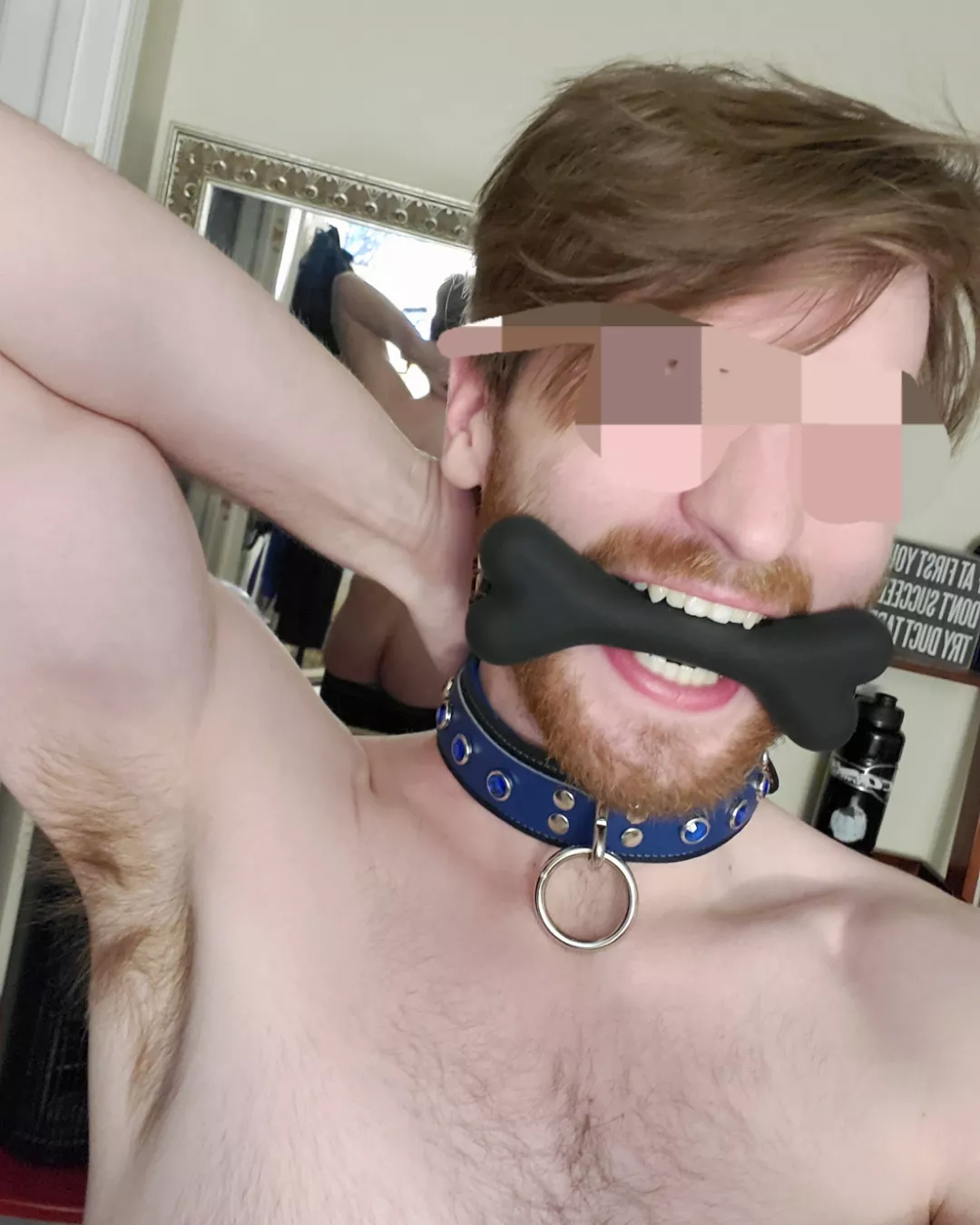 Look! New chew toy! posted by CounterfeitRobber