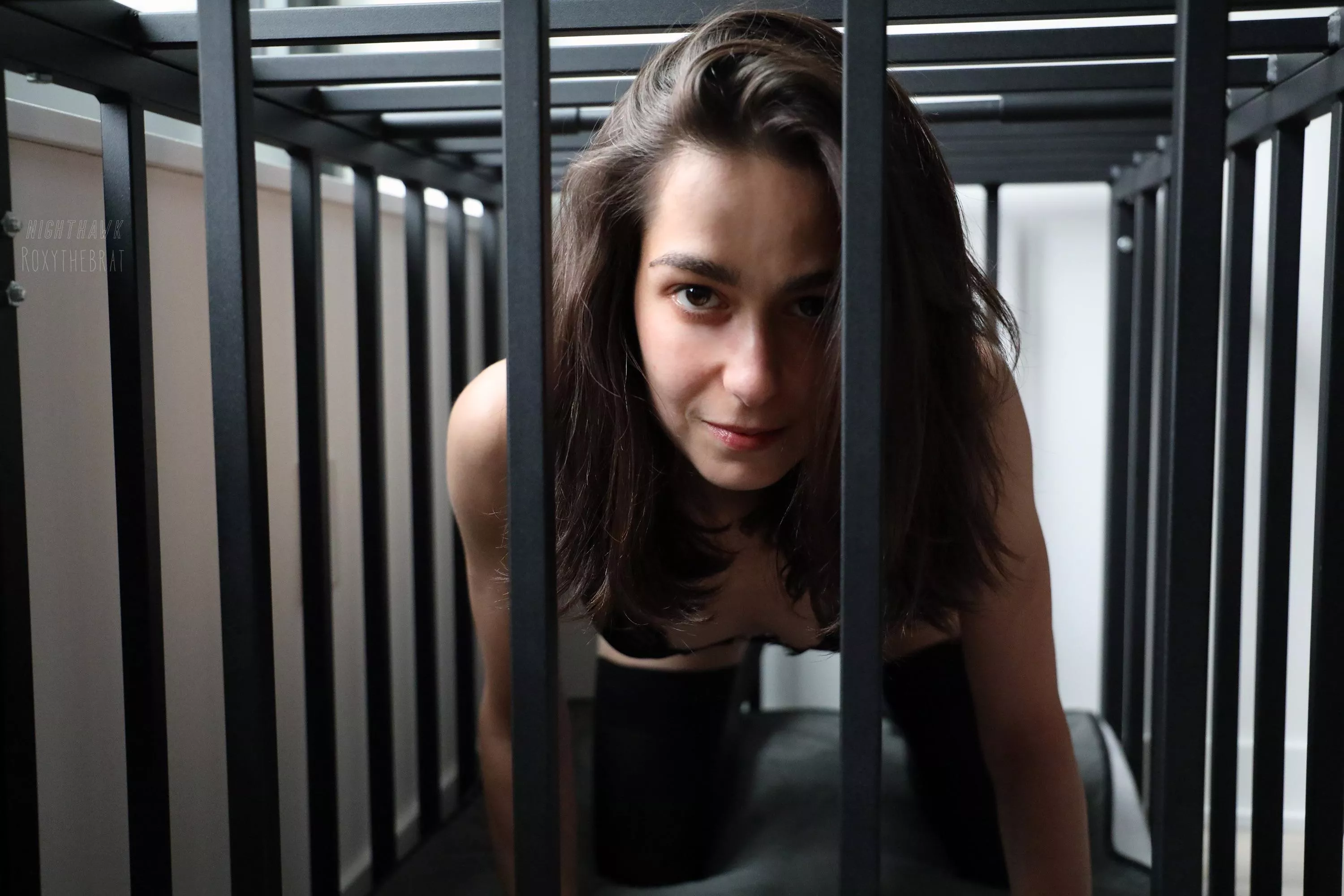 Predator or prey? posted by roxythebrat