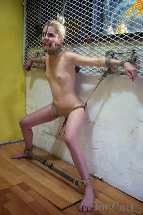 Retractor gag and nosehook by very_good_user_name