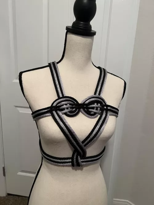 Same harness as last time, different colors. by unwarrantedinfoman