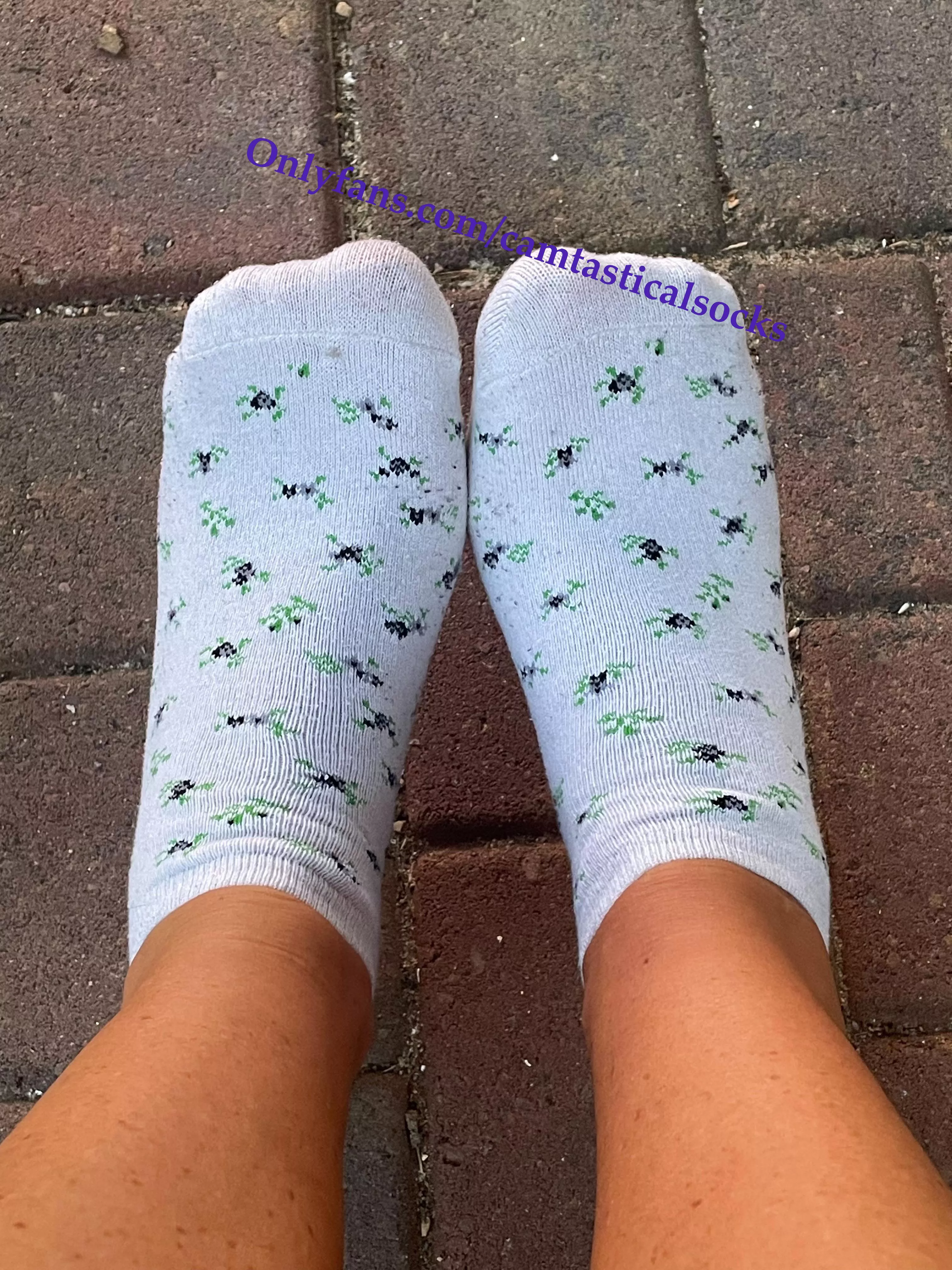 Socks on the Porch posted by camtasticalsocks