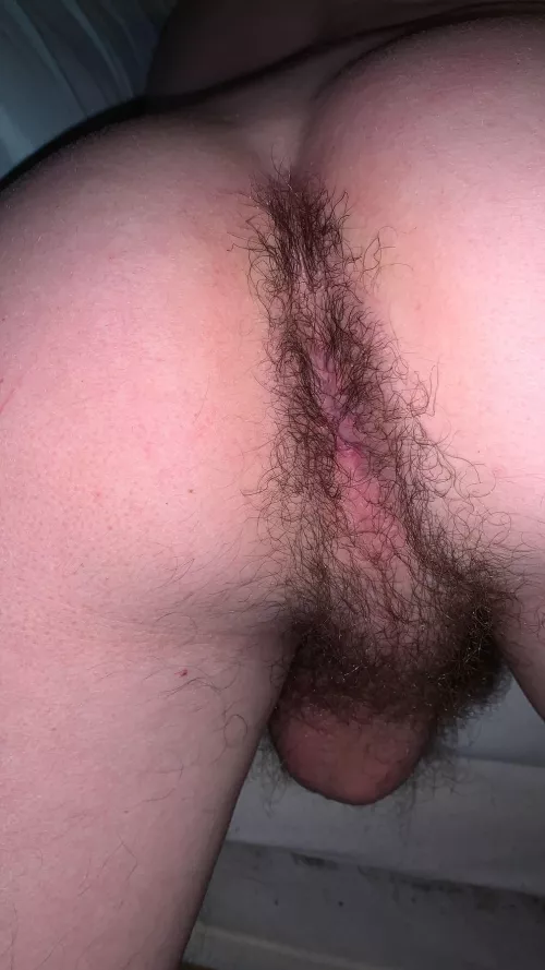 Still waiting to be cuddled please🙄 by slytherinwizard