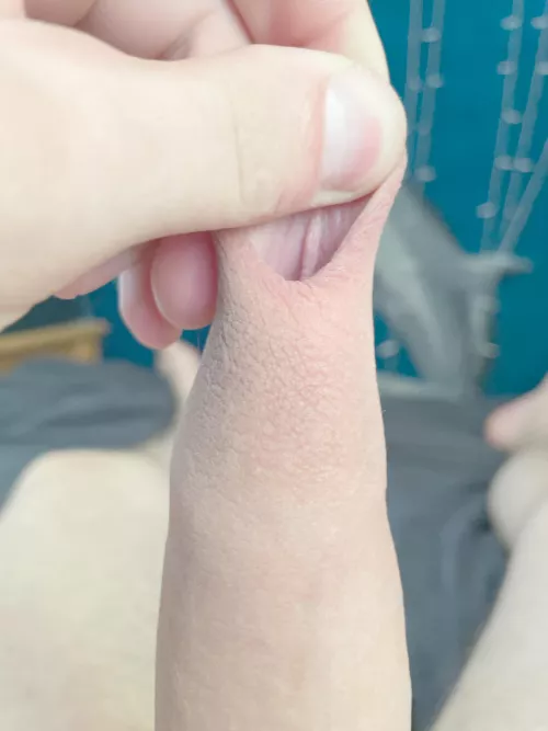 Wanna dock by ItsBlueMultiverse