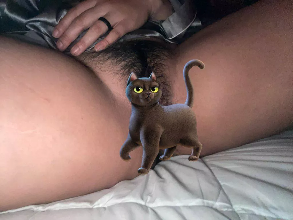 Wanna pet this pinay bushy kitty?;) posted by knowfacehaze