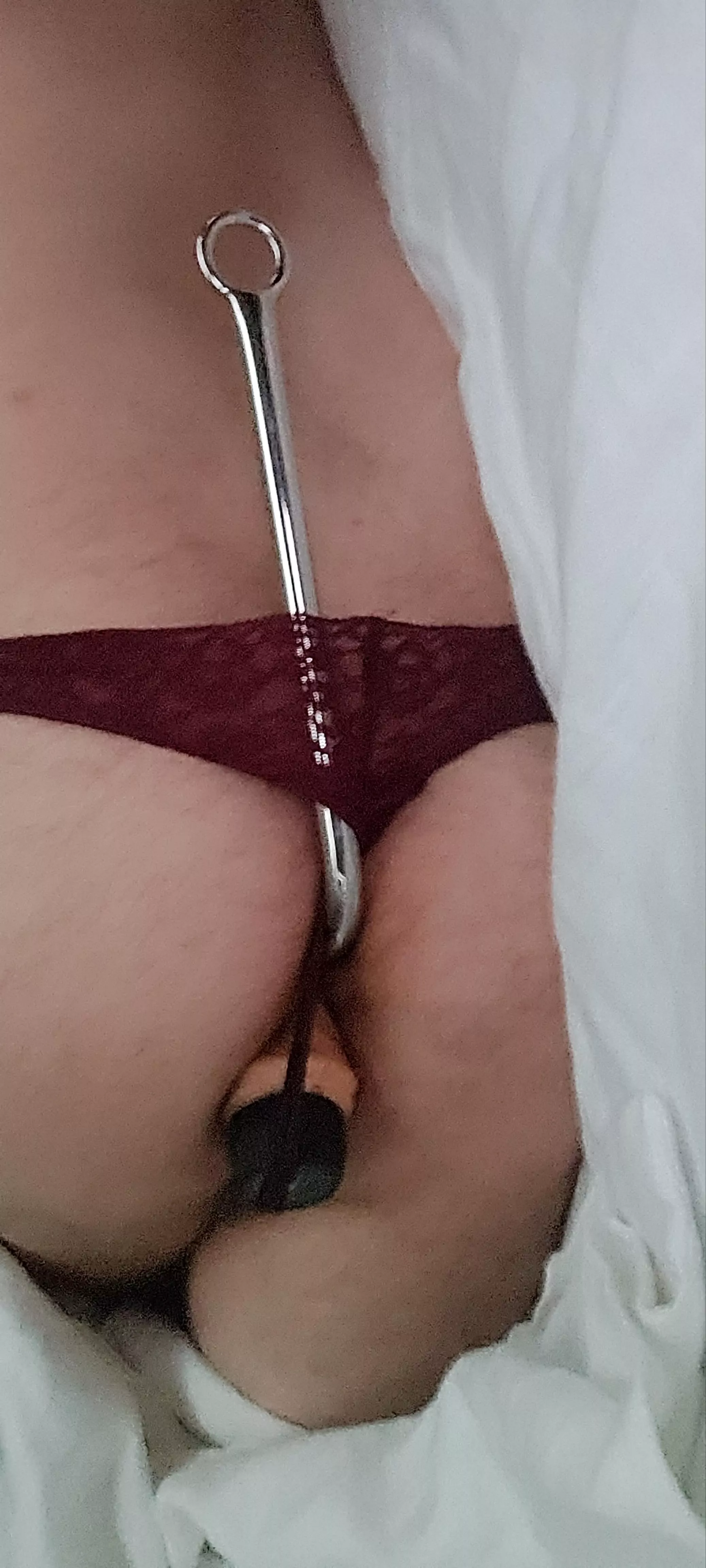 Anal hook and big dildo in my ass posted by ruinedbf