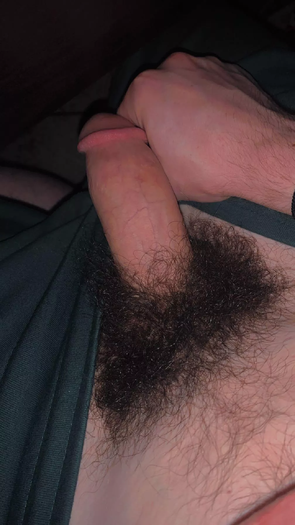 Any big fuzzy bears wanna own me?🥺 posted by slytherinwizard